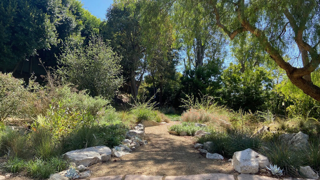 Coastal Bird Sanctuary